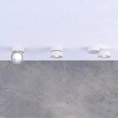 Mako Spotlight - Image 3