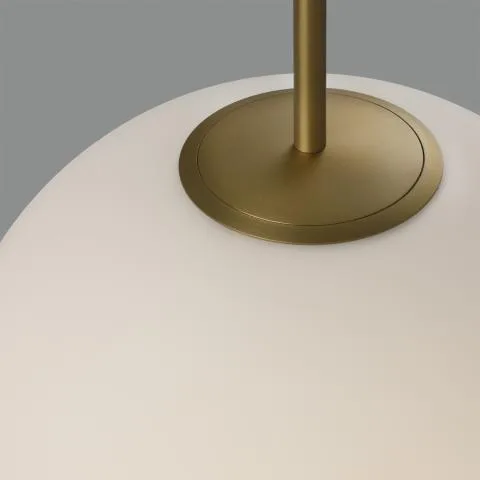 Parma visilica - Image 3