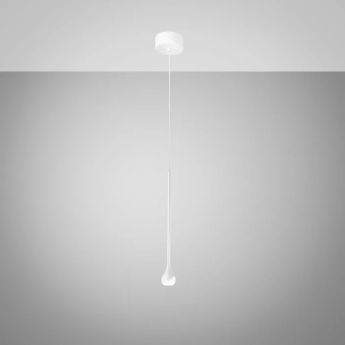 Ursula S/P - Image 2